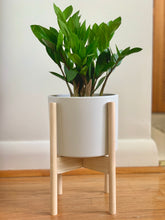 Load image into Gallery viewer, ZZ Plant