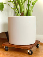 Load image into Gallery viewer, Plant Trolley