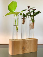 Load image into Gallery viewer, Large Cedar Propagation Block