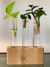 Load image into Gallery viewer, Large Cedar Propagation Block