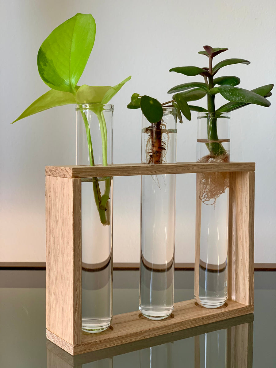 Oak Propagation Station Pots and Plants Toronto