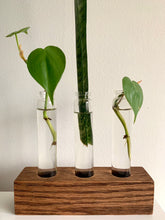 Load image into Gallery viewer, Oak Propagation Block