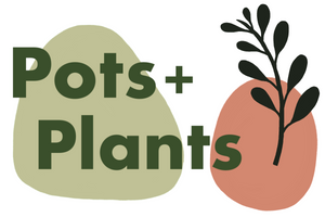 Pots and Plants Toronto